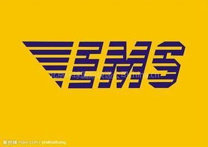 青島進口代理與EMS快遞清關(guān) 專業(yè)服務(wù)與廣告設(shè)計策略